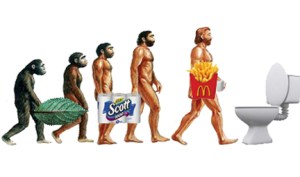 Evolution of toilet paper