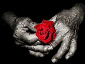 Rufus Valentine hands