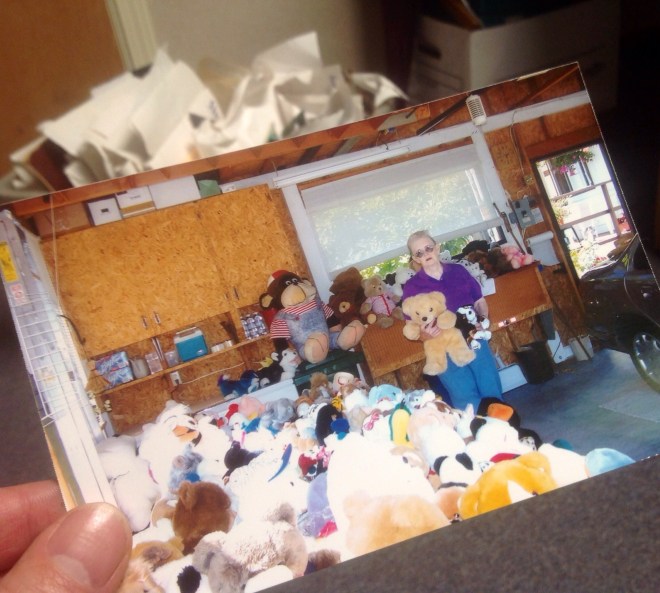 First rule of journalistic investigation: Do not be fooled by appearances. Especially when there are way too many stuffed animals involved... 