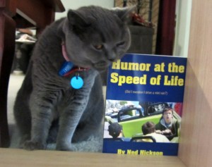 Catnip ink is cheaper, but there are drawbacks.