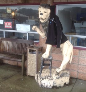 Enjoy the jacket, Wooden Lion! I doubt you can get the hood over your FAT HEAD! 